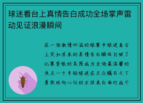 球迷看台上真情告白成功全场掌声雷动见证浪漫瞬间